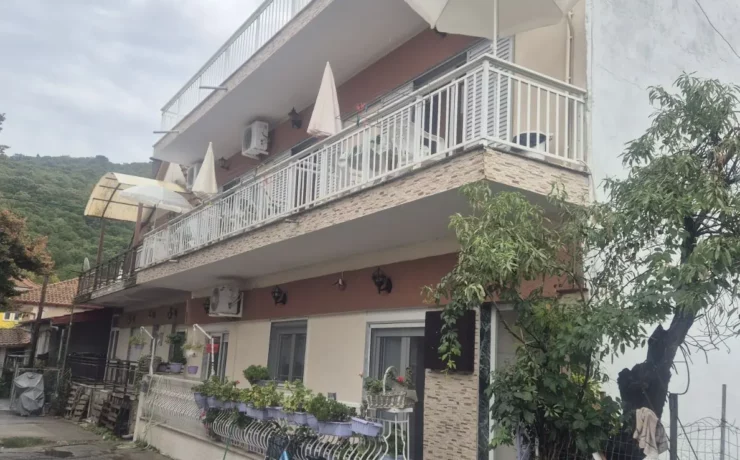 Vila Platani Stavros